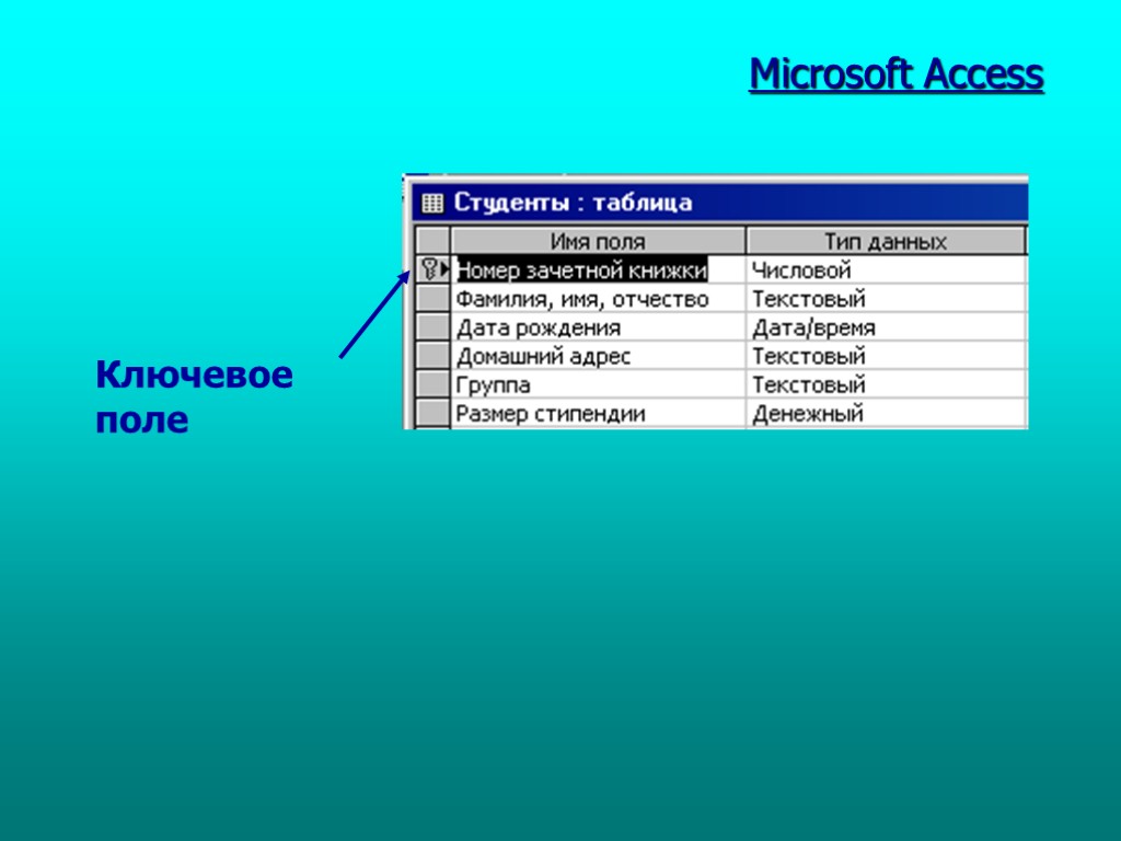 Microsoft Access . Ключевое поле